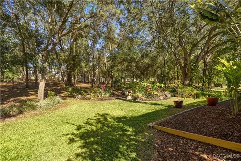Exterior - 389 W Doerr Path, Hernando, FL 34442 photo 15 of 21