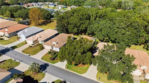 View/Area - 389 W Doerr Path, Hernando, FL 34442 photo 5 of 19