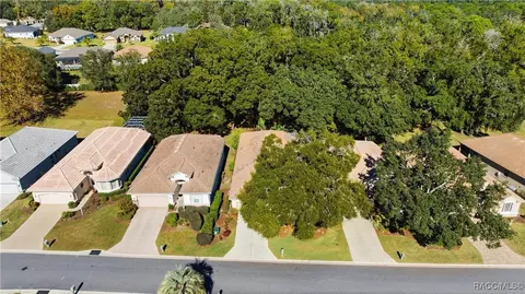 View/Area - 389 W Doerr Path, Hernando, FL 34442 photo 6 of 19