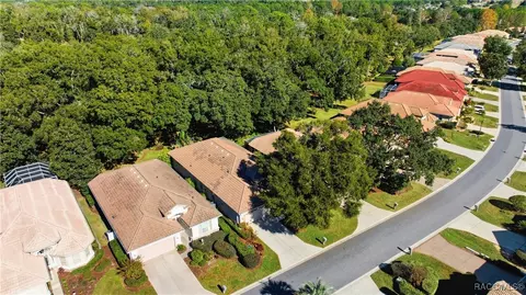 View/Area - 389 W Doerr Path, Hernando, FL 34442 photo 7 of 19