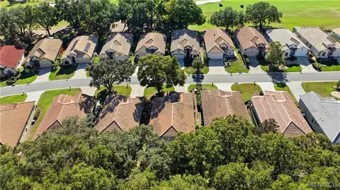 View/Area - 389 W Doerr Path, Hernando, FL 34442 photo 10 of 19