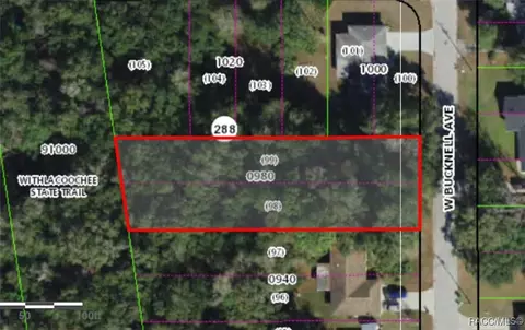 1129 W Bucknell Ave, Inverness, FL 34450