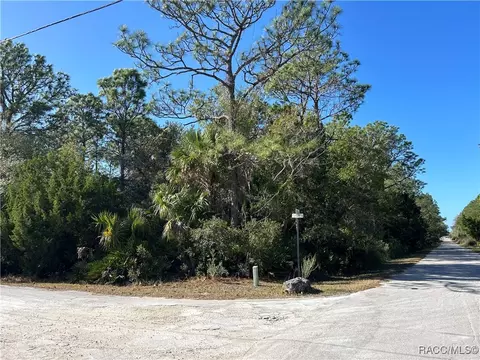 1172 N Lorri Ter, Crystal River, FL 34429