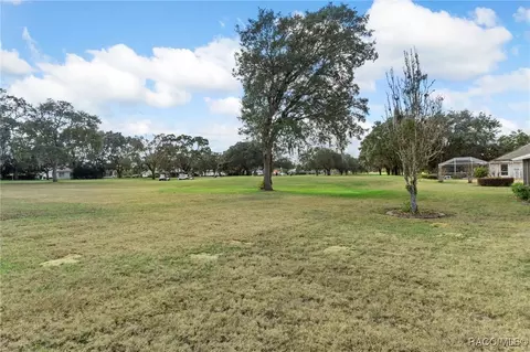 Exterior - 738 Epsom Ct, Hernando, FL 34442 photo 9 of 11