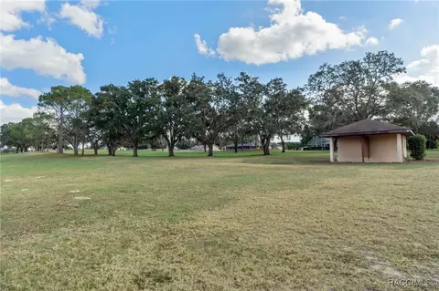 Exterior - 738 Epsom Ct, Hernando, FL 34442 photo 10 of 11