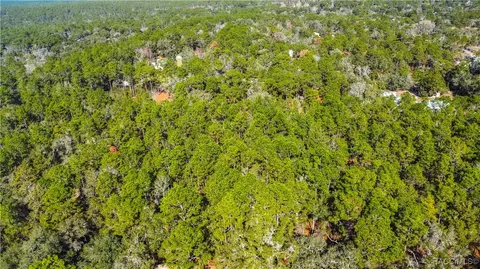 3418 E Shands Ct, Inverness, FL 34452 photo 12