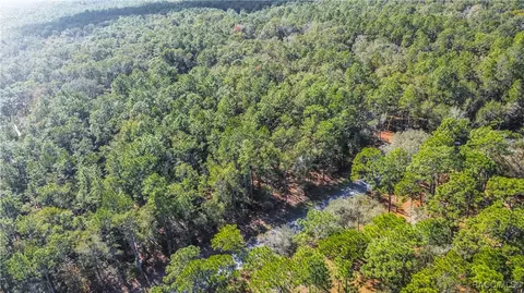 3418 E Shands Ct, Inverness, FL 34452 photo 6