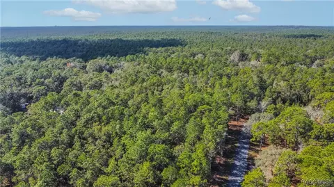 3418 E Shands Ct, Inverness, FL 34452 photo 8