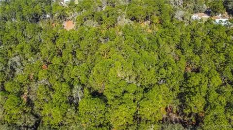 3418 E Shands Ct, Inverness, FL 34452 photo 13