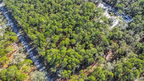3418 E Shands Ct, Inverness, FL 34452 photo 18