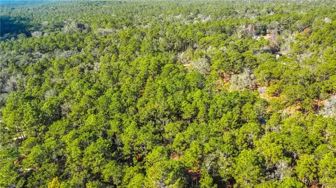 3418 E Shands Ct, Inverness, FL 34452 photo 10