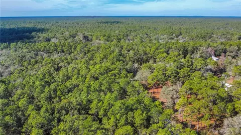 3418 E Shands Ct, Inverness, FL 34452 photo 9