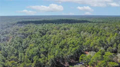 3418 E Shands Ct, Inverness, FL 34452 photo 7