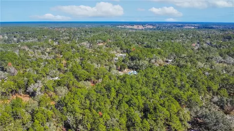 3418 E Shands Ct, Inverness, FL 34452 photo 15