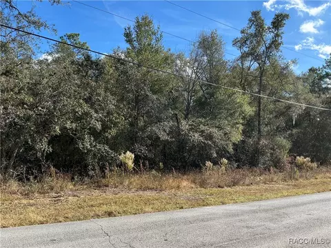 3157 N Hamlin Ter, Hernando, FL 34442 photo 4
