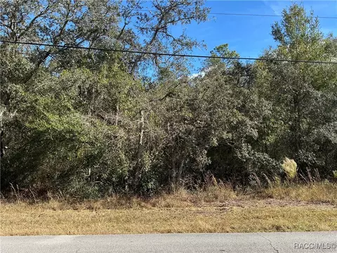 3157 N Hamlin Ter, Hernando, FL 34442