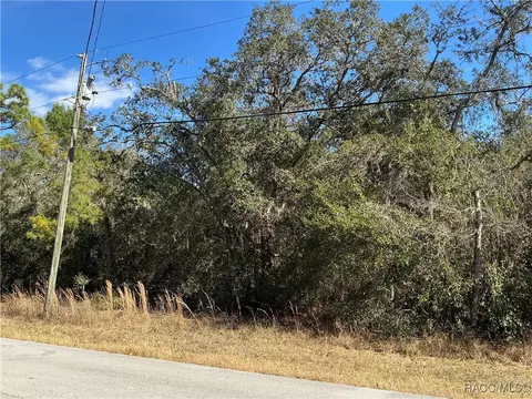 3157 N Hamlin Ter, Hernando, FL 34442 photo 3