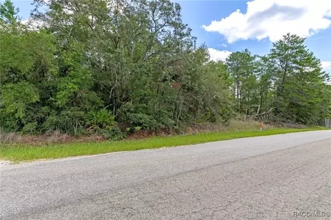 710 E Overdrive Lot 16 Cir, Hernando, FL 34442