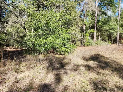 8760 N Malibu Rd, Citrus Springs, FL 34434