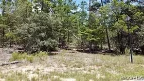 1 Crossandra Ct E, Homosassa, FL 34446