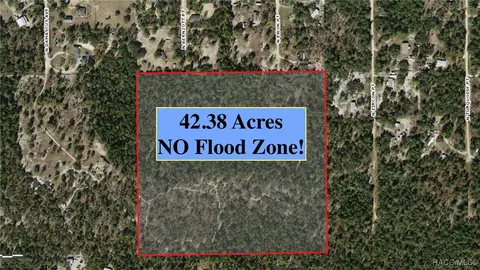 6496 N Bernzott Pt, Dunnellon, FL 34433