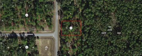 9651 N Lily Dr, Dunnellon, FL 34434