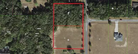 3002 N Clements Ave, Hernando, FL 34442 photo 11