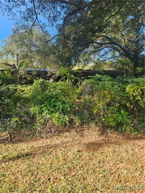 1756 N Paul Dr, Inverness, FL 34453