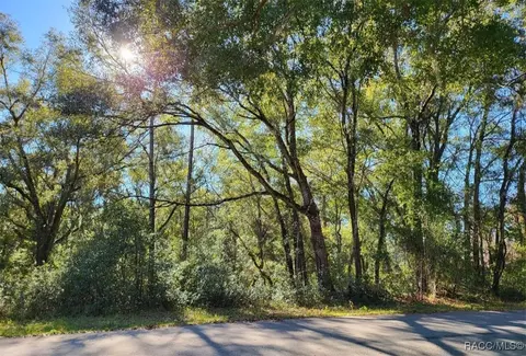 00 SW 101st St, Dunnellon, FL 34432