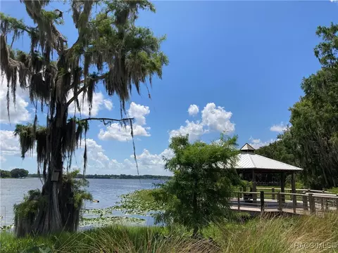 View/Area - 1529 N Foxboro Loop, Crystal River, FL 34429 photo 8 of 8
