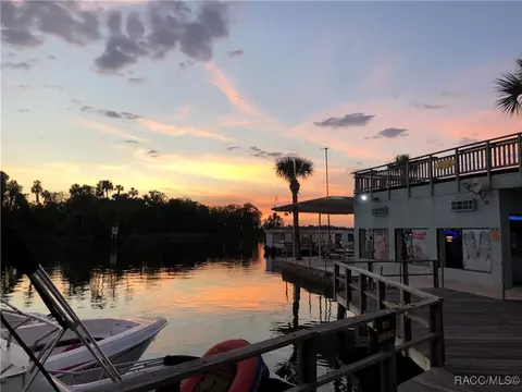 View/Area - 1529 N Foxboro Loop, Crystal River, FL 34429 photo 5 of 8