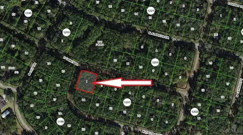 1296 E Urmey Pl, Citrus Springs, FL 34434