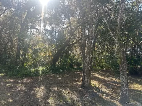 3100 N Edwards Is, Hernando, FL 34442