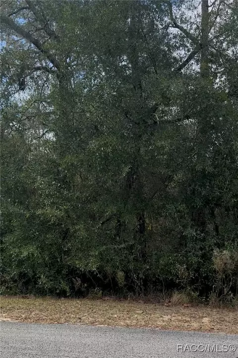 lot18 SW Ivy Pl, Dunnellon, FL 33431
