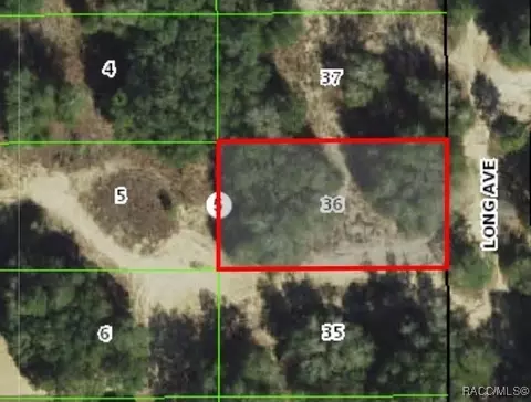1011 Long Ave, Inverness, FL 34453