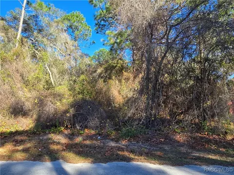 3257 E Kennedy St, Inverness, FL 34453