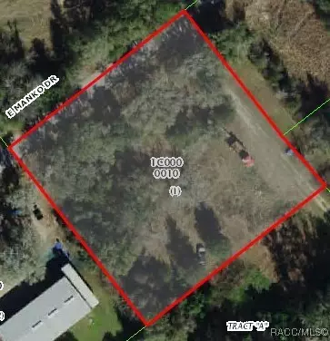 1728 E Manko Dr, Hernando, FL 34442