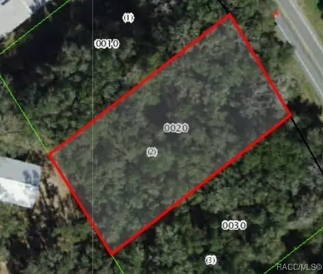 5556 N Florida Ave, Hernando, FL 34442