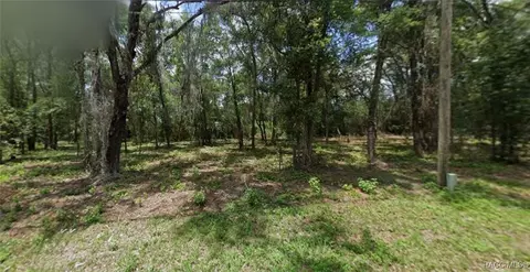 1751 E Zyrian Pl, Hernando, FL 34442 photo 2