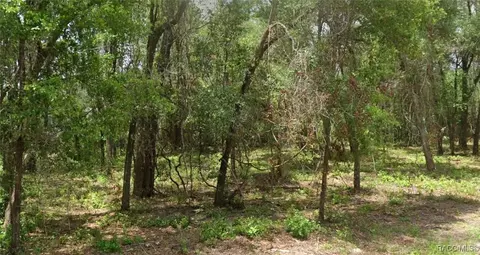 1751 E Zyrian Pl, Hernando, FL 34442 photo 3