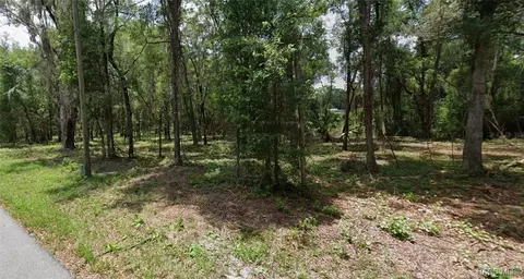 1751 E Zyrian Pl, Hernando, FL 34442 photo 4