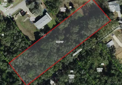 1751 E Zyrian Pl, Hernando, FL 34442