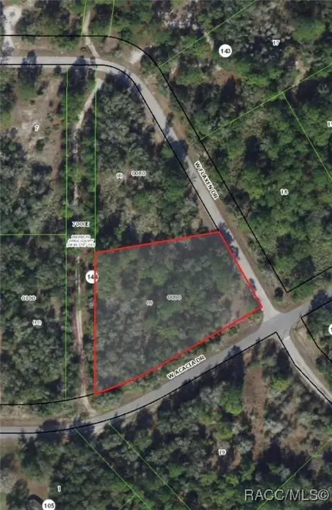 11976 W Flaxen Dr, Crystal River, FL 34428