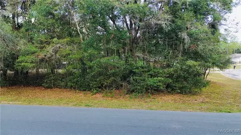 10699 N Academy Dr, Citrus Springs, FL 34434