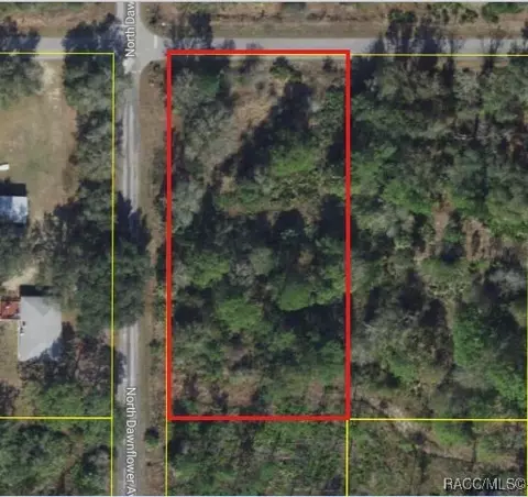 11798 W Cornflower Dr, Crystal River, FL 34428