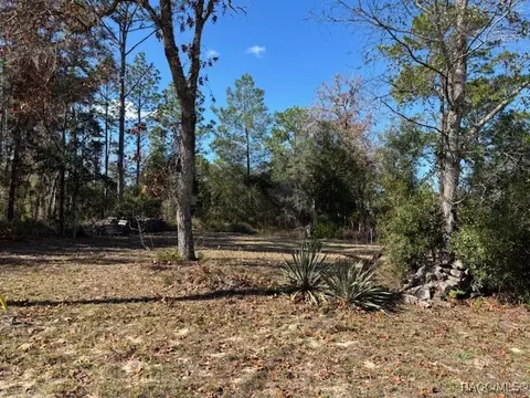 8010 N Oxford Ter, Citrus Springs, FL 34433