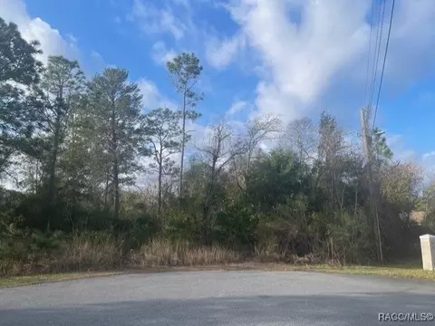 13000 Phoebe Ct, Brooksville, FL 34614