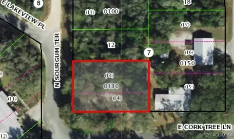 4797 E Cork Tree Ln, Hernando, FL 34442