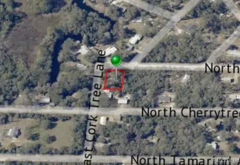 4797 E Cork Tree Ln, Hernando, FL 34442 photo 5