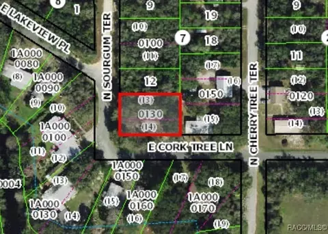 4797 E Cork Tree Ln, Hernando, FL 34442 photo 2